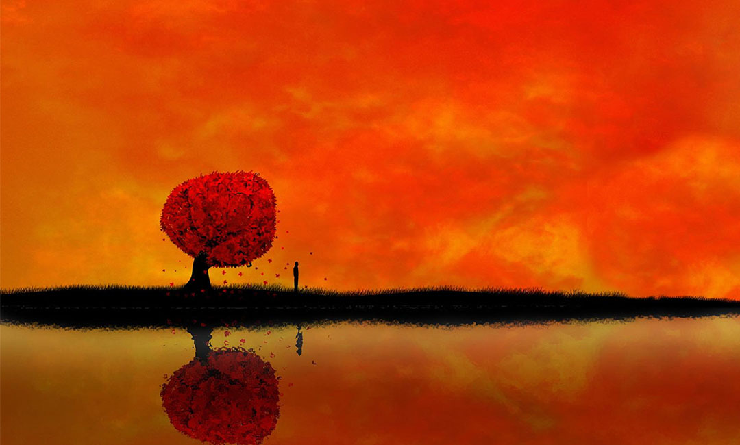 通辽笙影微信朋友圈转发案例